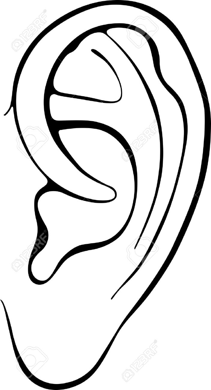 Line Art Drawing Ear PNG, Clipart, Adult, Angle, Arm, Art, Artist Free PNG  Download