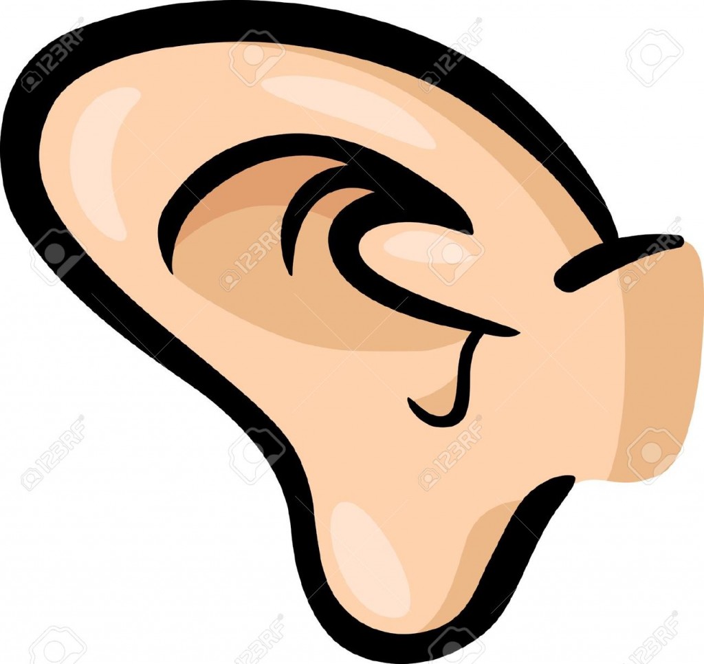 ear clipart clipartionm #32114