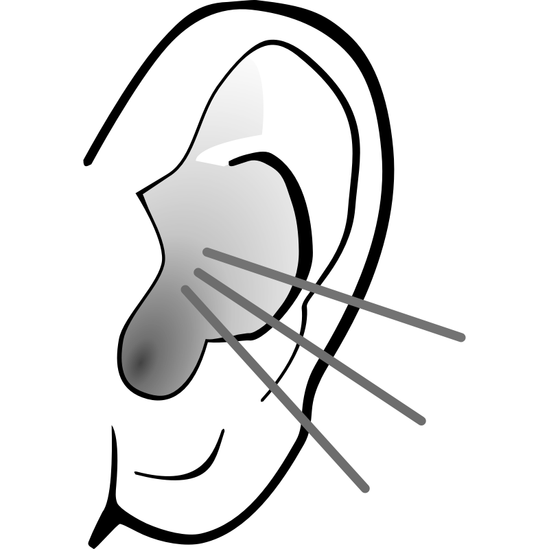 ear clipart clipartionm #29775
