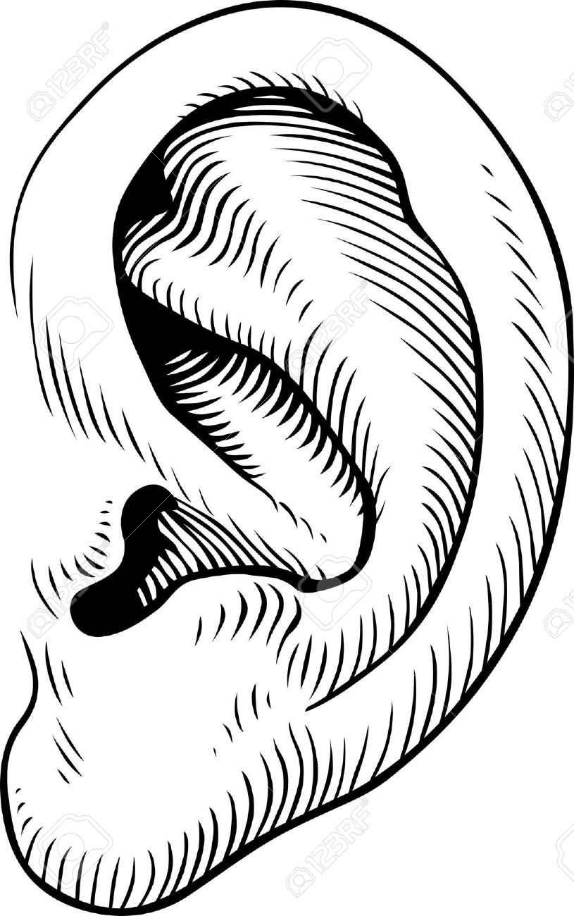 Line Art Drawing Ear PNG, Clipart, Adult, Angle, Arm, Art, Artist Free PNG  Download