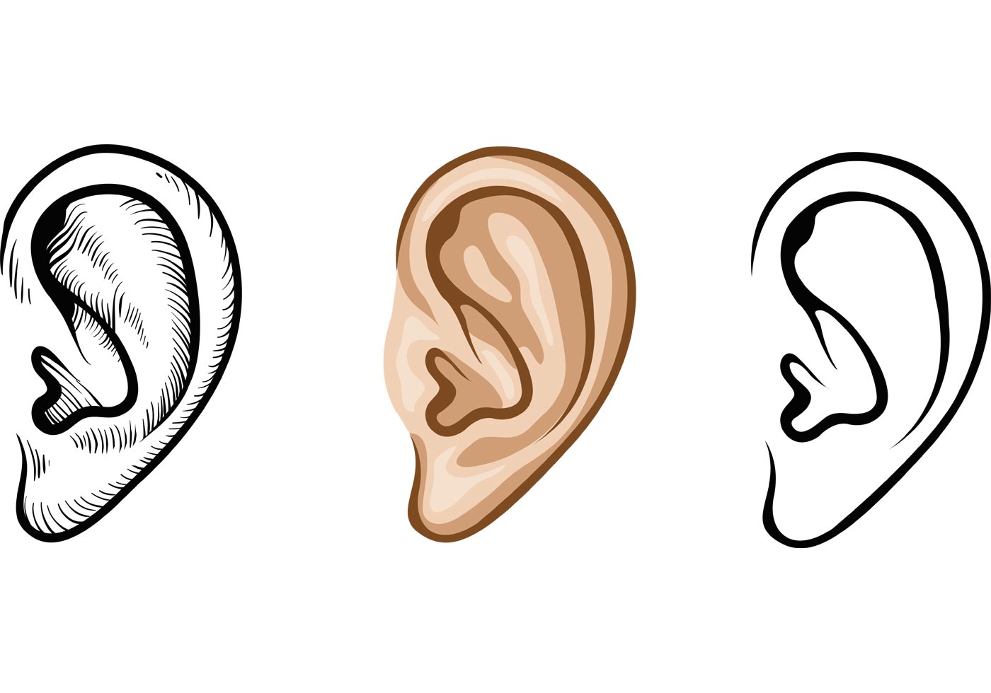 ears clipart png