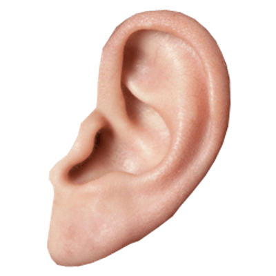 ear single transparent png stickpng #29751