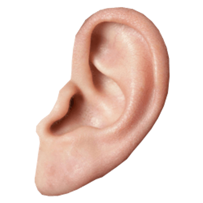 Ear