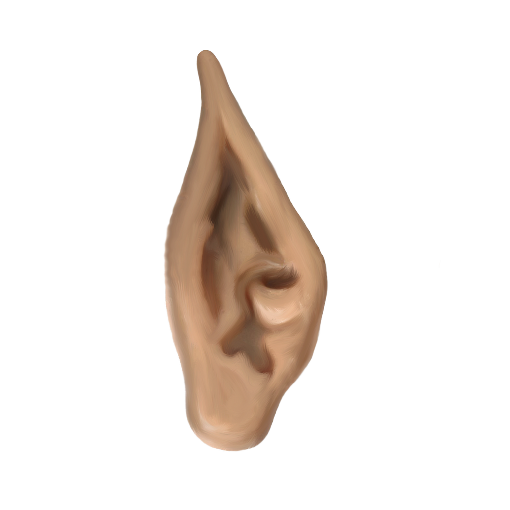 png elf ear moonglowlilly deviantart #29768