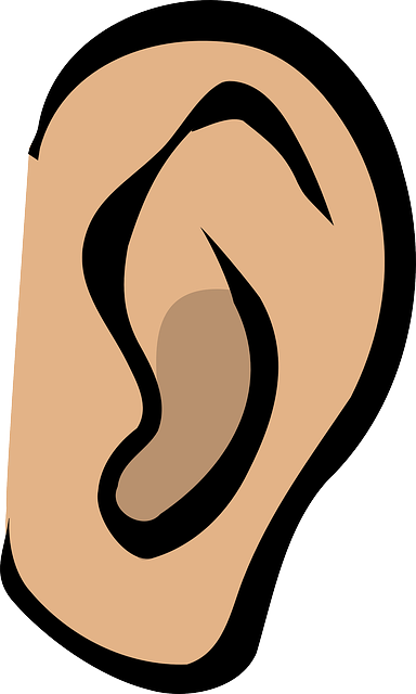 vector graphic ear listen hear gossip sound image pixabay #29763