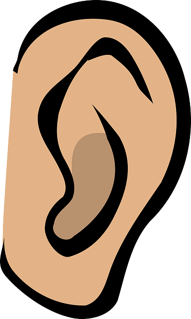 Ear PNG And Ear Clipart Free Download