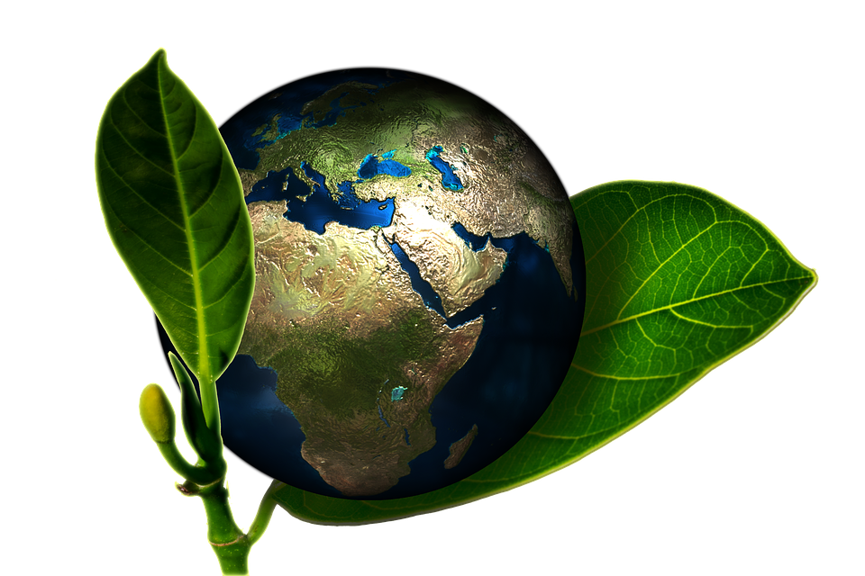 earth globe birth image pixabay #11744