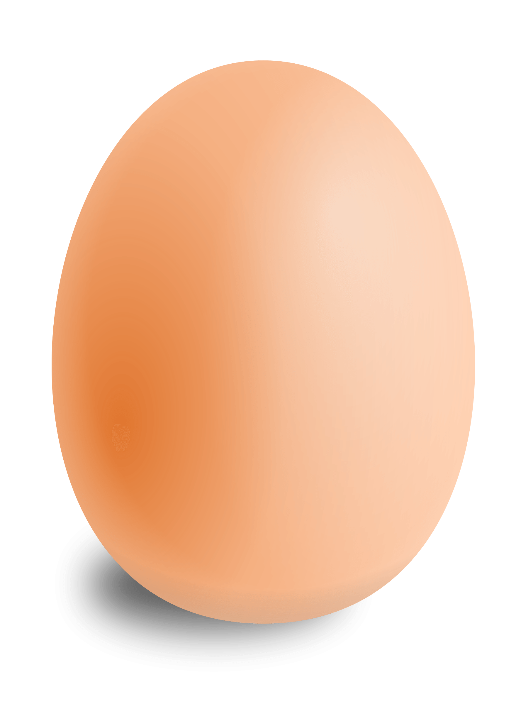 Egg PNG Transparent Images Free Download - Pngfre