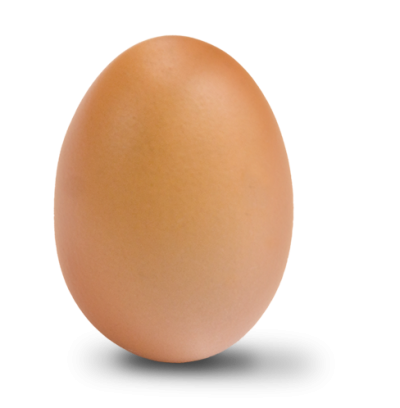 Download Fried Egg Half Free HD Image HQ PNG Image