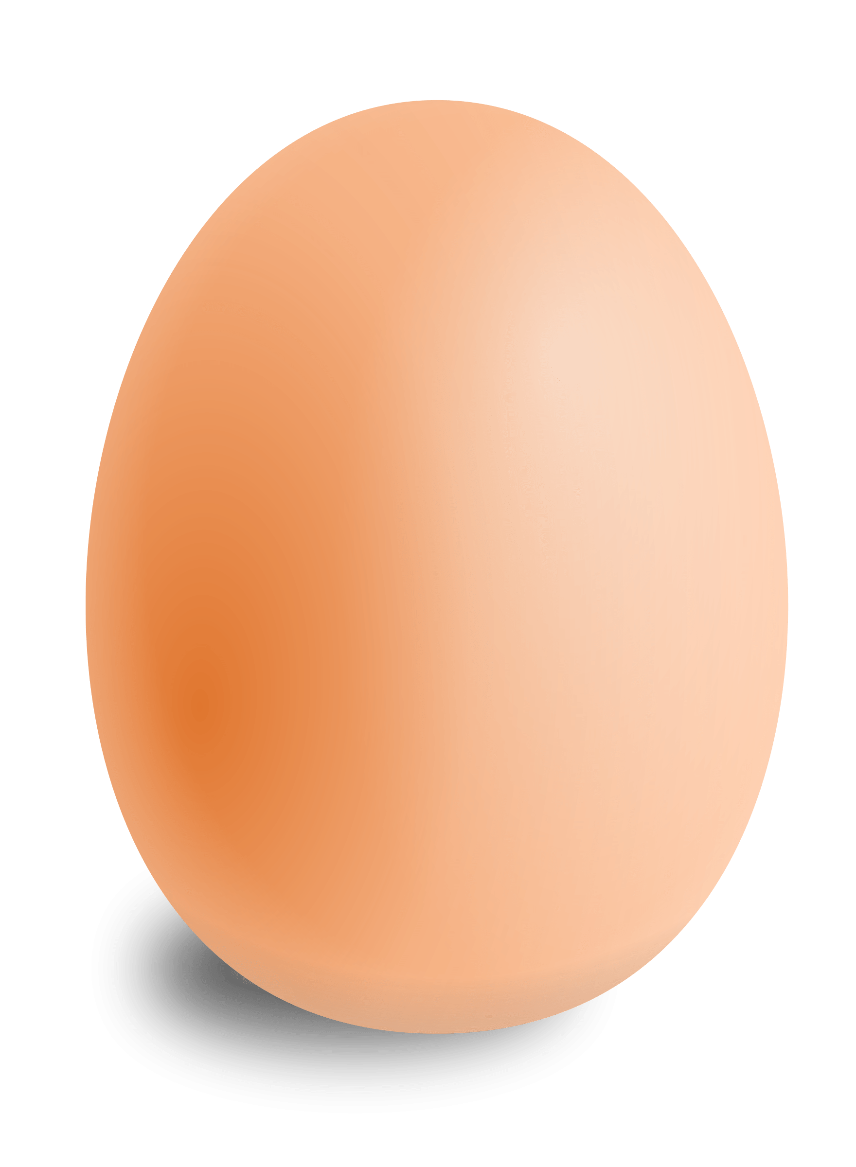 egg, eggs #14562
