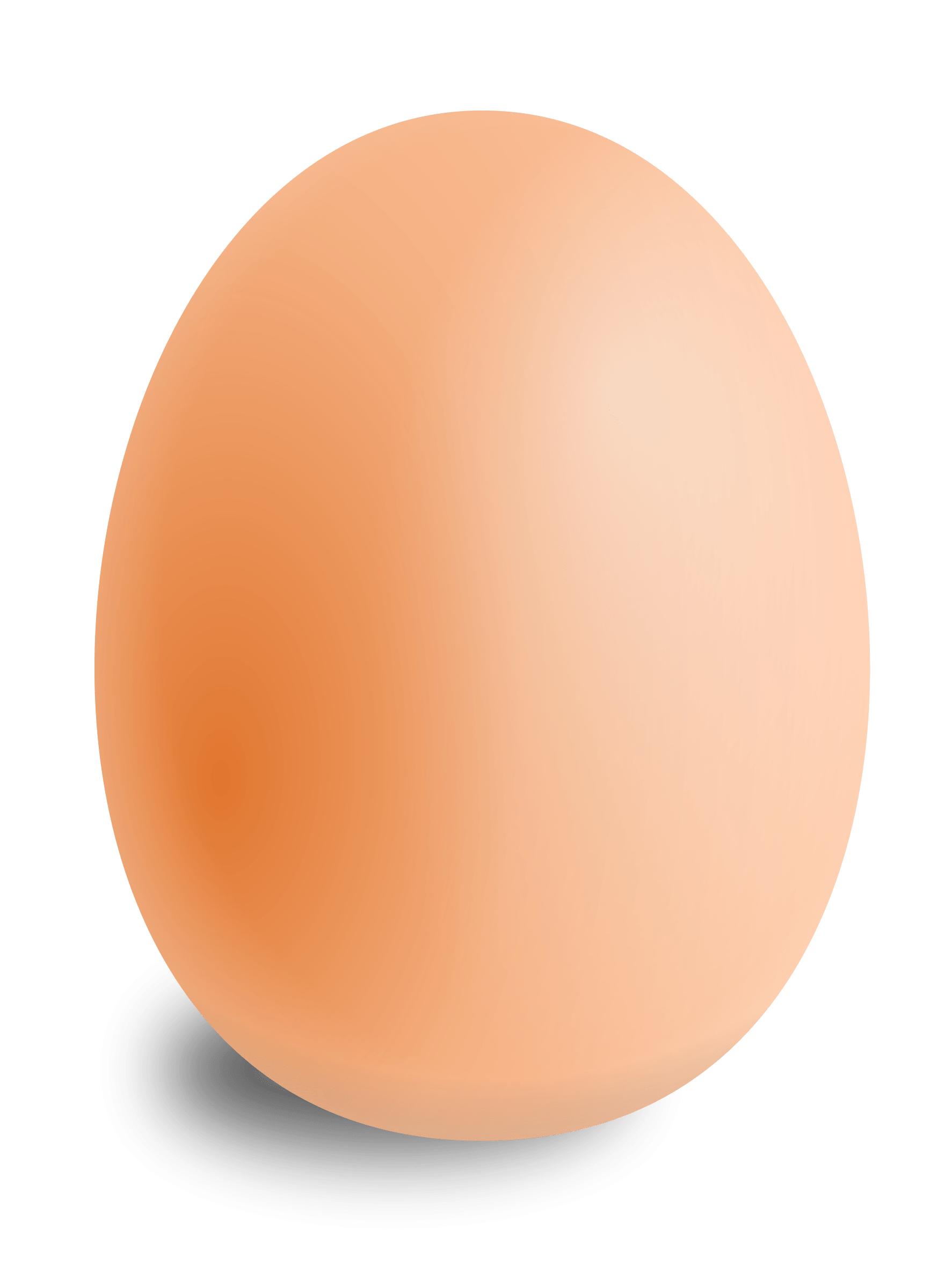 Egg PNGs for Free Download