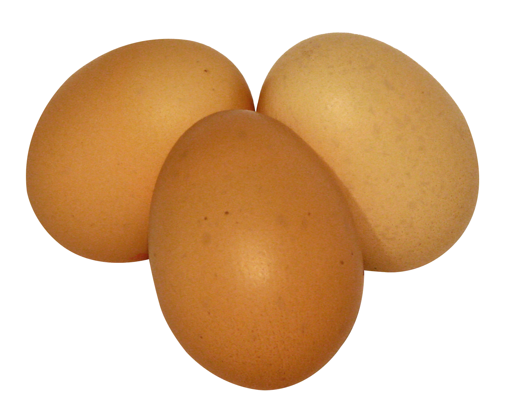 Egg, HD Png Download - vhv