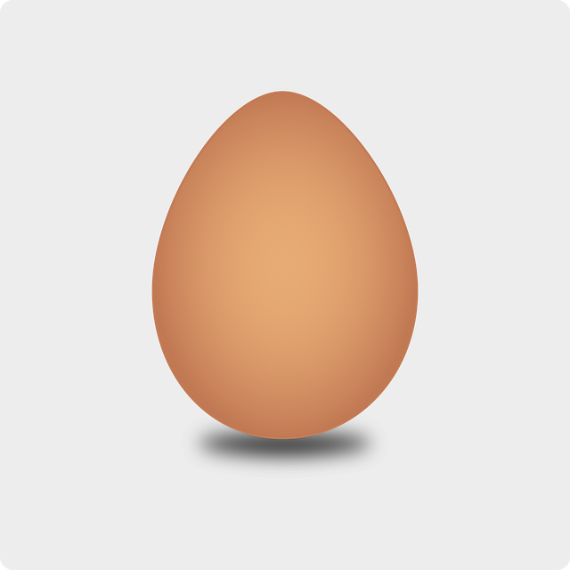 egg food protein vector graphic pixabay #14543