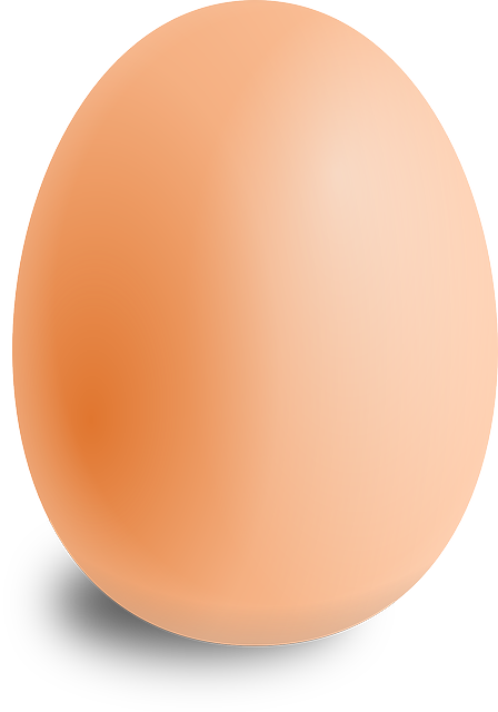 egg oval food vector graphic pixabay #14517