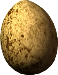 egg, skyrim ingredient images the elder scrolls wiki #14569