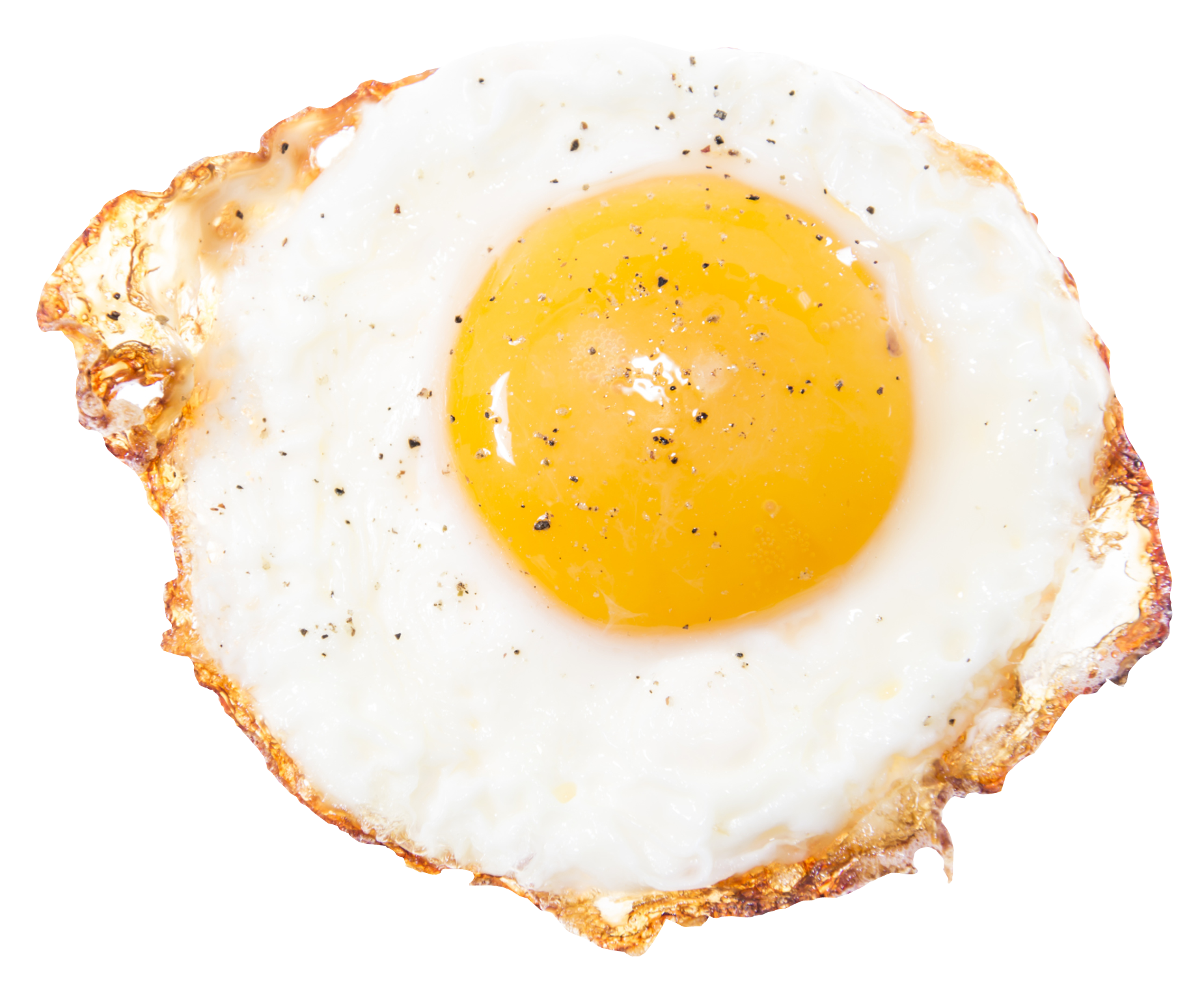 fried egg png image pngpix #14502