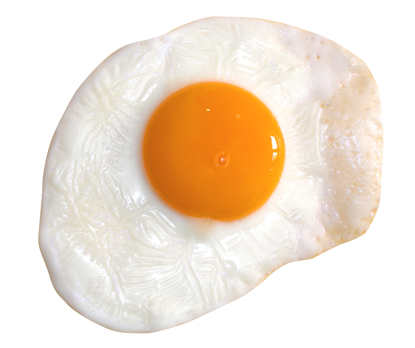 Egg