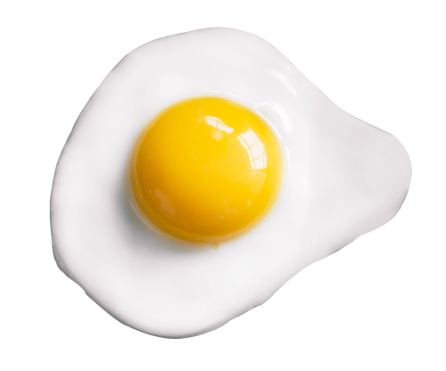 fried egg png transparent image pngpix #14540