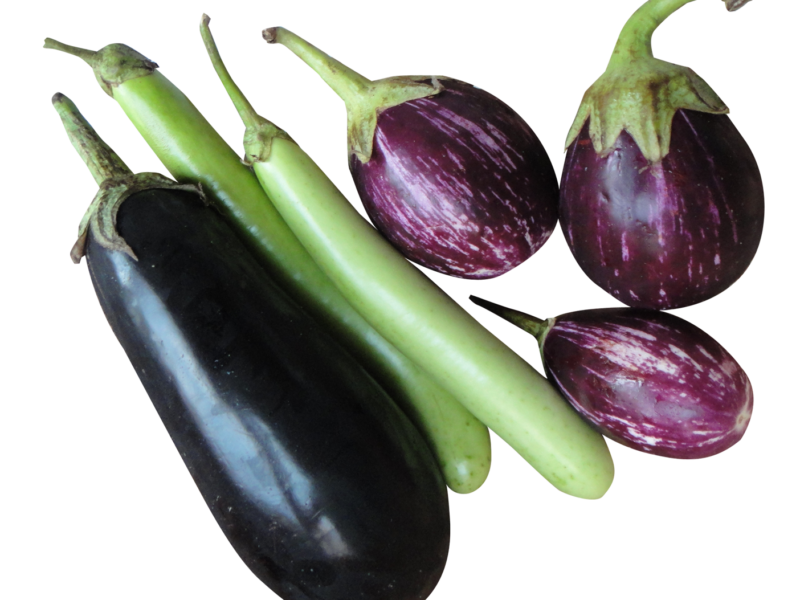 brinjal eggplant png image png transparent best photos #29816