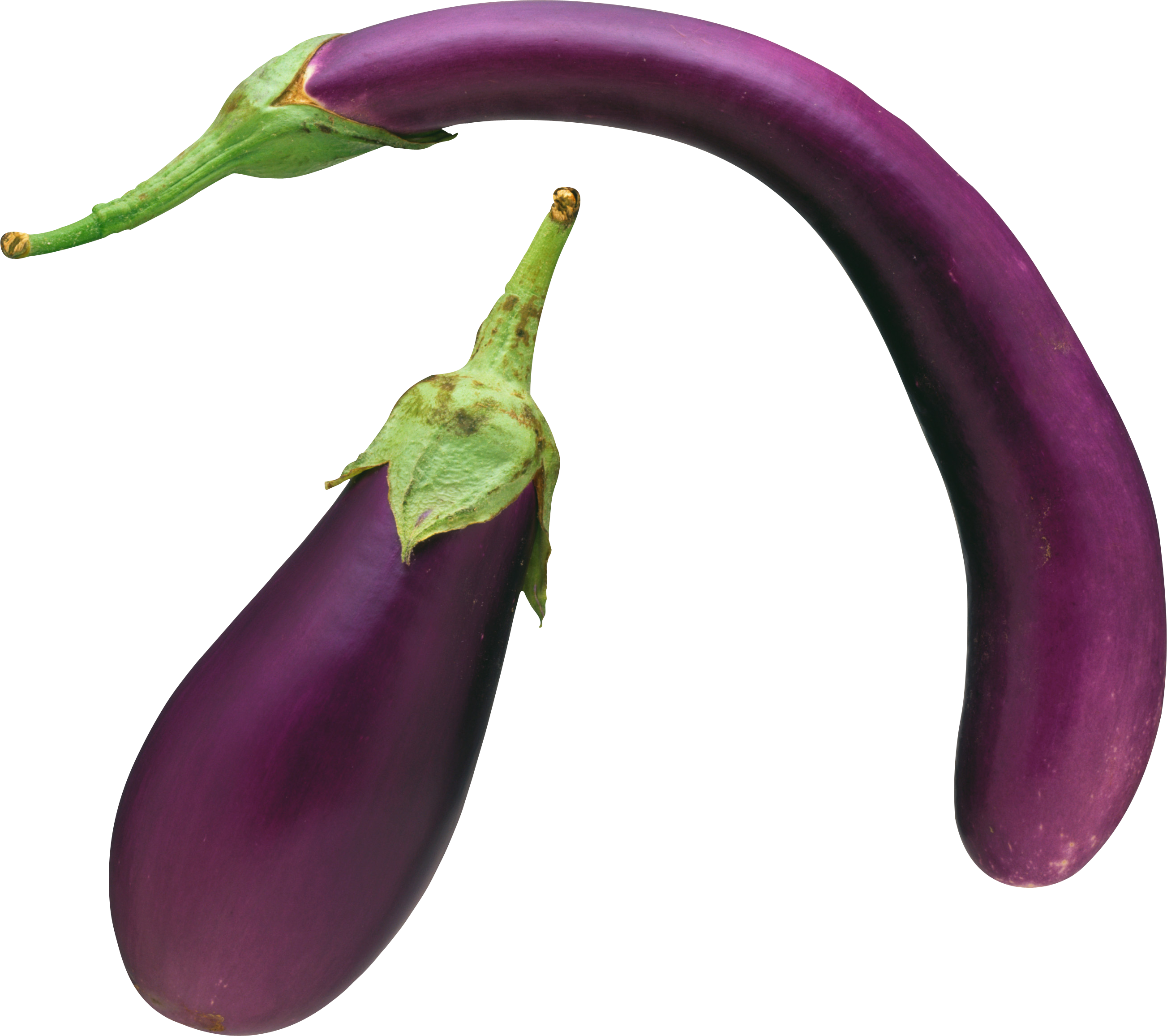 eggplant clipart single vegetable eggplant single vegetable transparent for download #29805