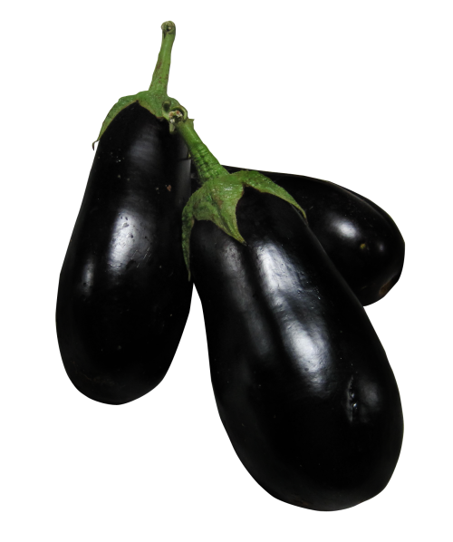 eggplant png image pngpix #29778