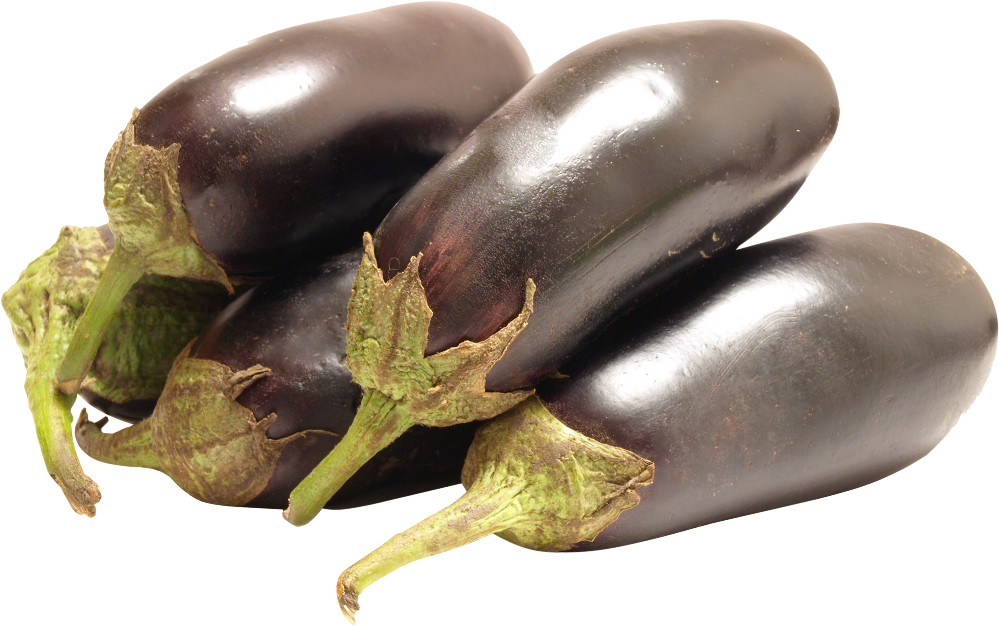 eggplant transparent png pictures icons and png backgrounds #29838