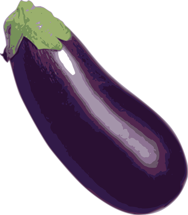 vector graphic eggplant vegetable food image pixabay #29779