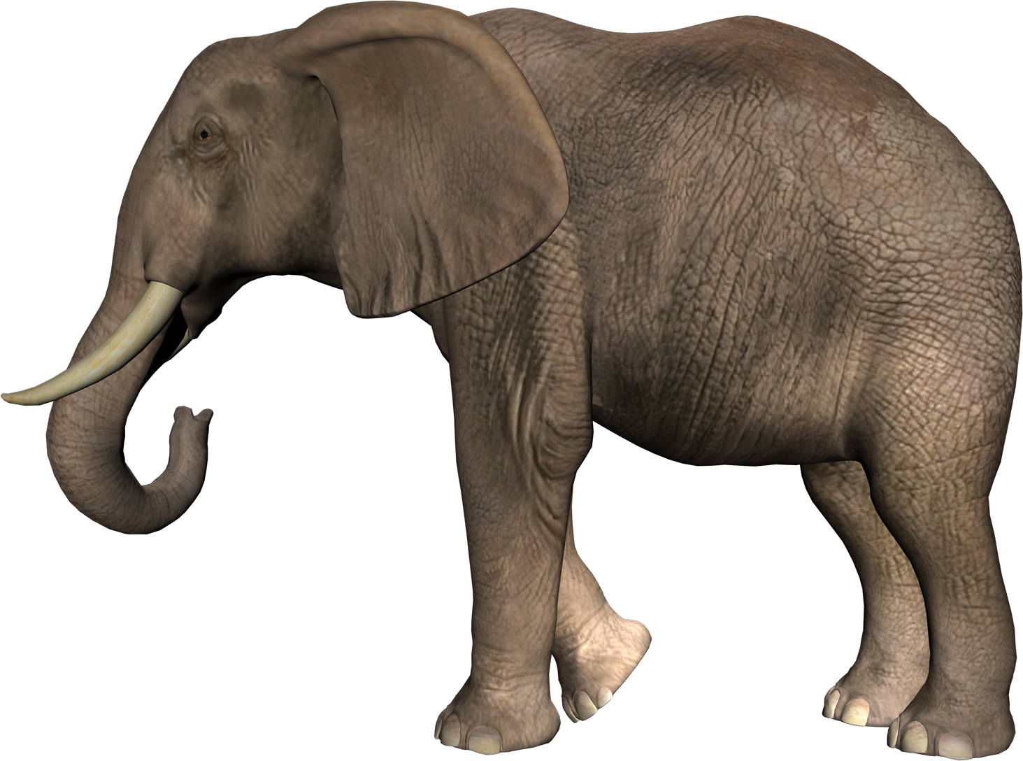 elephant, elephants icon web icons png #15848