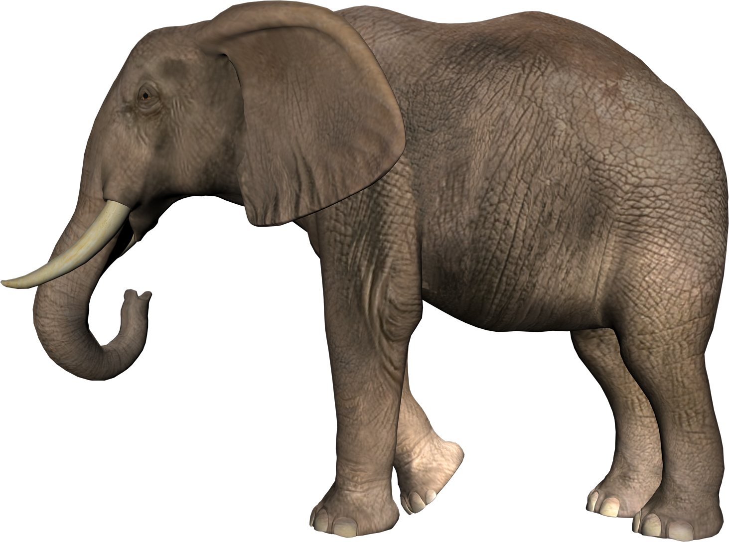 Elephant PNG, Elephant Animal African Photos - Free Transparent PNG Logos