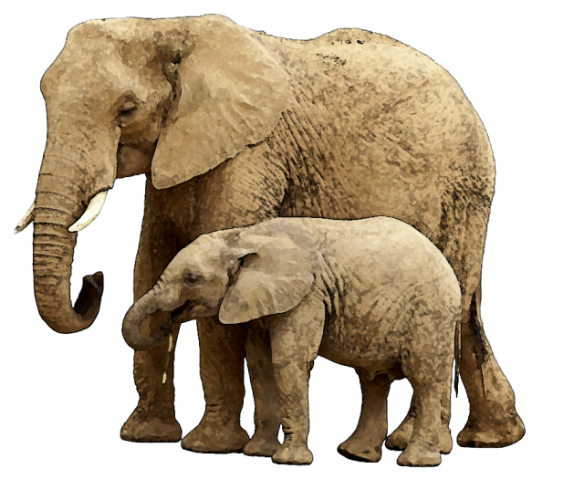 elephant, mom and baby animal clipart clipart suggest #15827