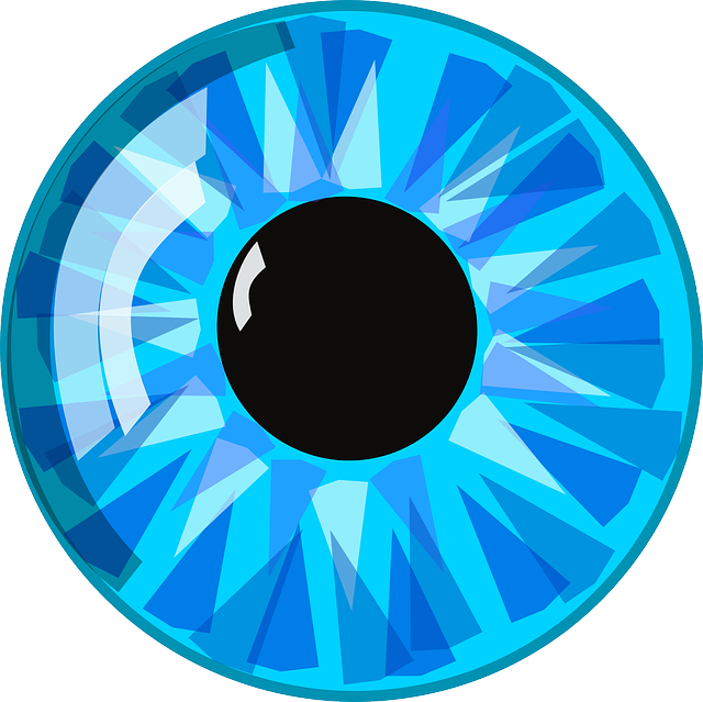 eye blue pupil vector graphic pixabay #10743