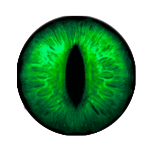 eye png envy snappy design #10688