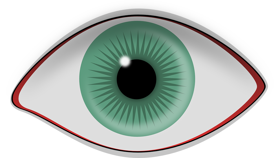 eye pupil iris vector graphic pixabay #10679