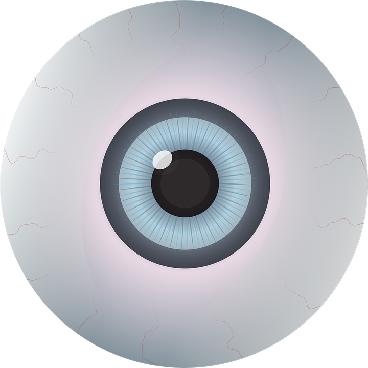 snow eyeballs human eye vector graphic pixabay