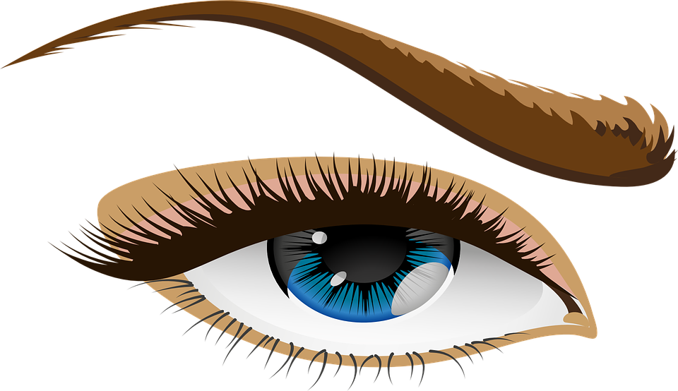 vector graphic eye blue eyes eyelid iris #10677