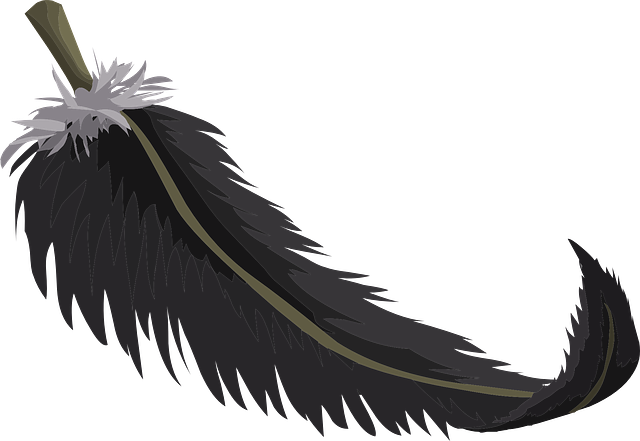 Feather, Feathers PNG Clipart Transparent Download