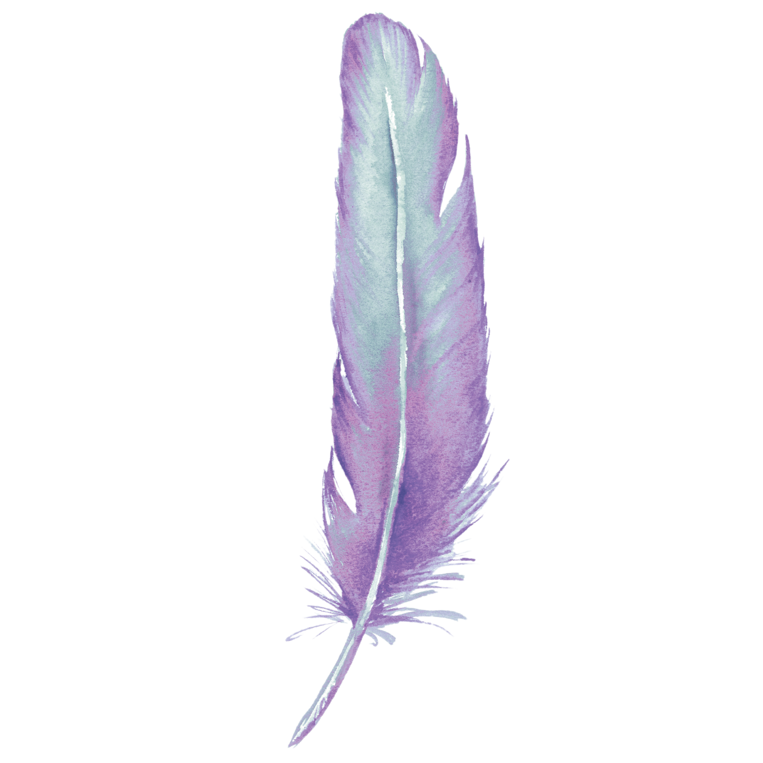 feather, blog lisa pollock #16355