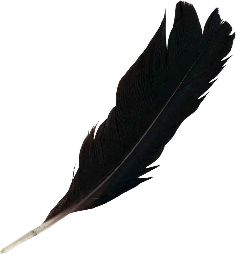 Feather