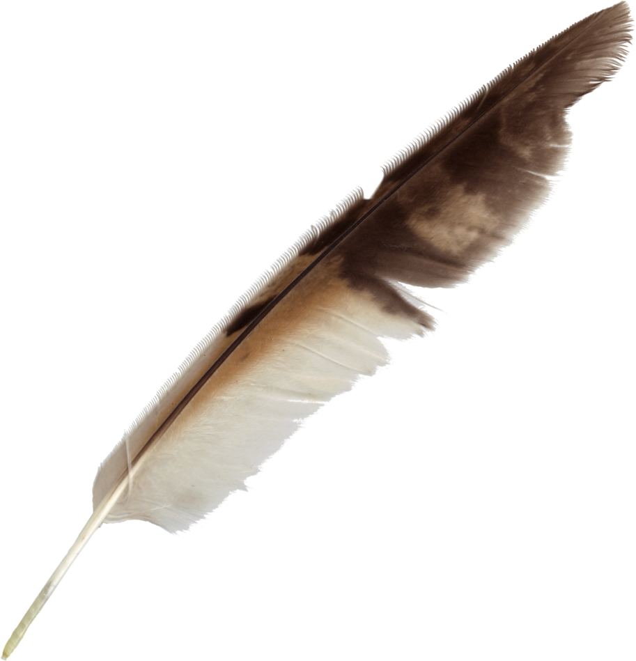 Feather