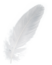 feather, peace floatation #16373
