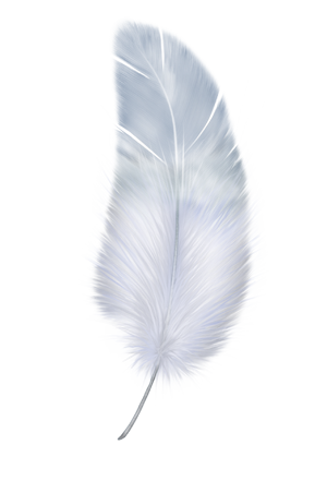 feather, the secret language angels #16416