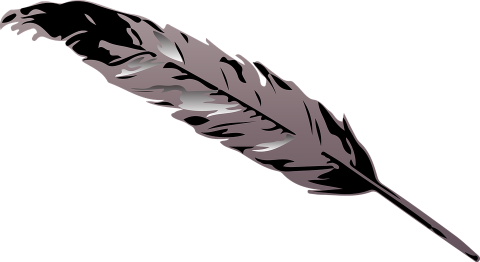 illustration feather gray grey design light #16447