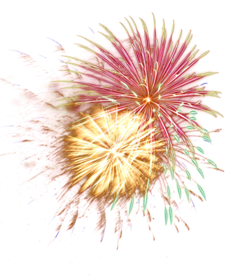 fireworks transparent png pictures icons and png #10282