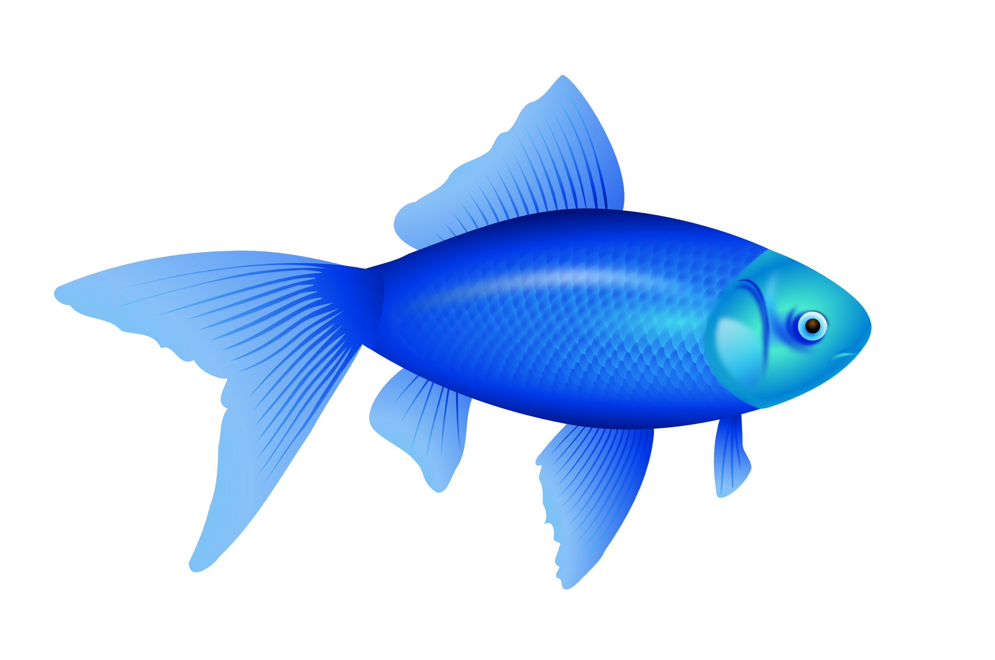 clipartist clip art blue fish goldfish svg #11879