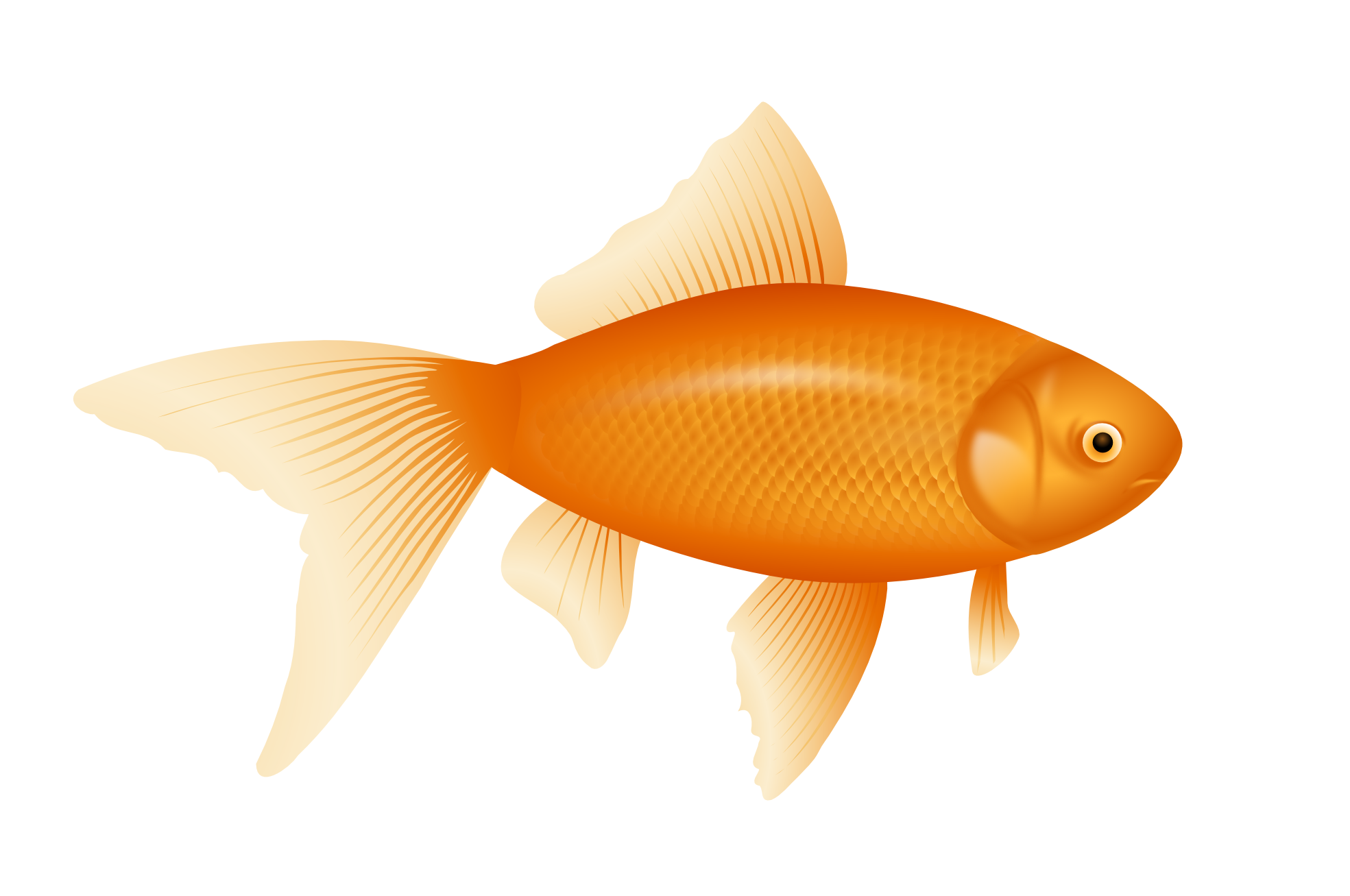 fish png flif example #11839