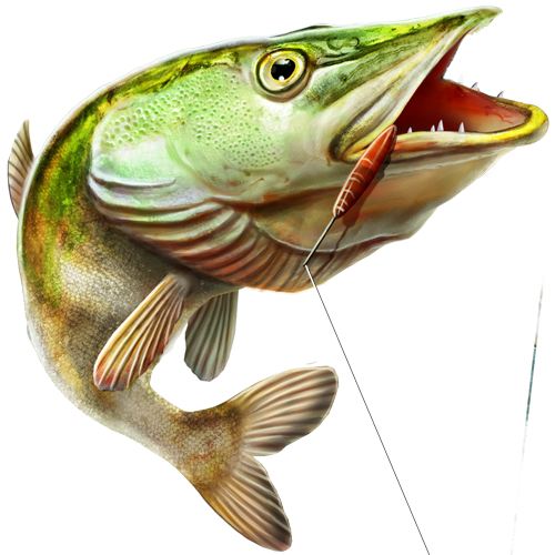 fish png save european fishing steam #11917