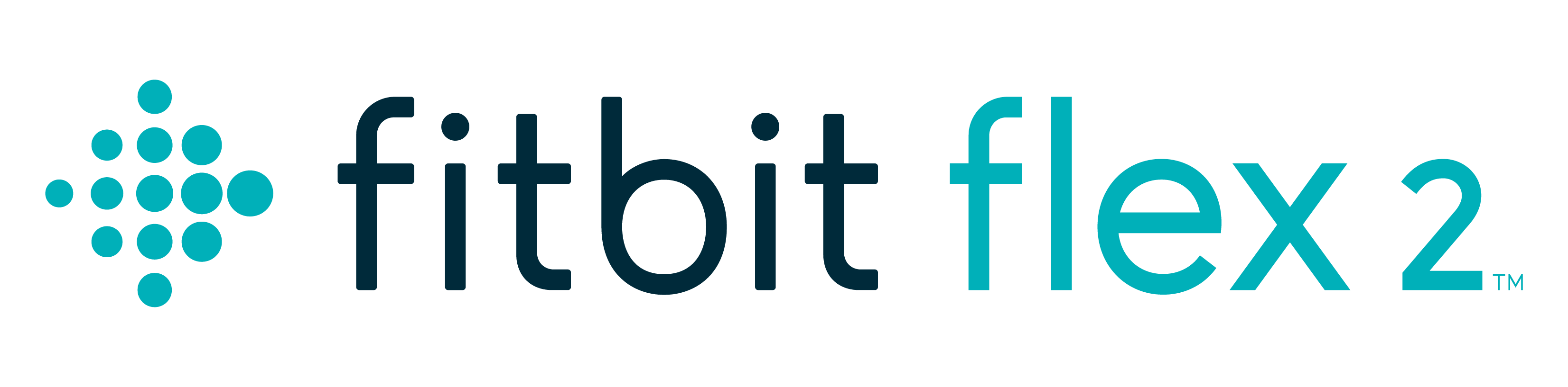 Fitbit Logo