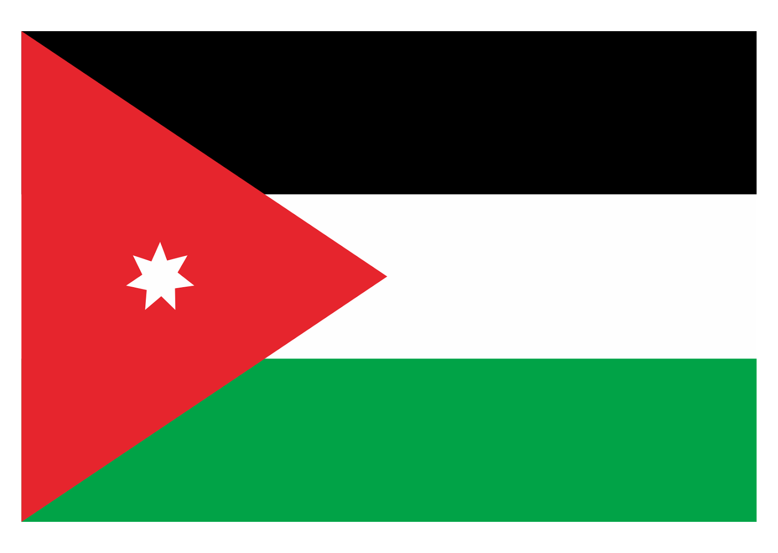 jordan flag logo #7002