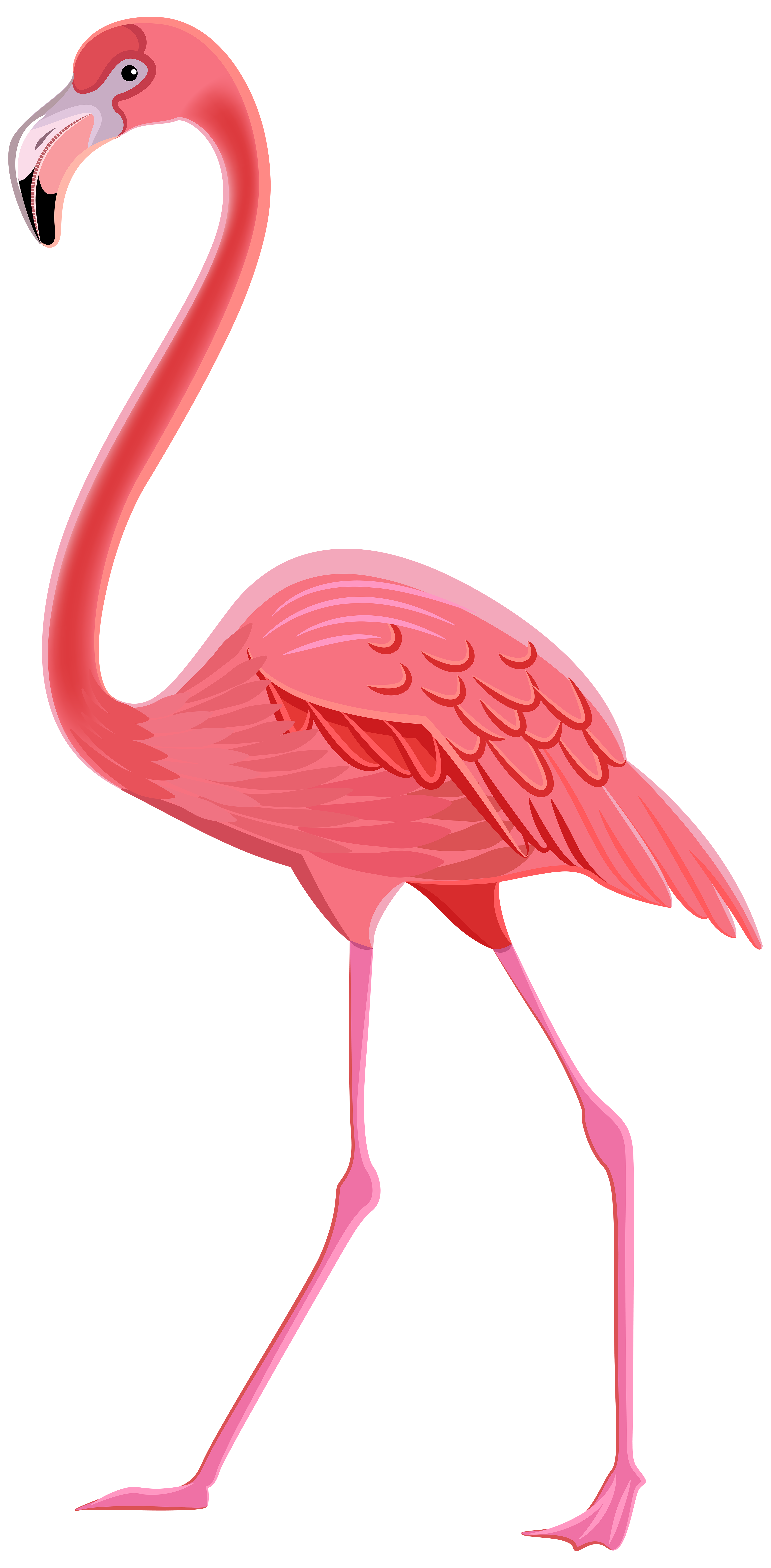 flamingo clipart animated pencil and color flamingo #23047