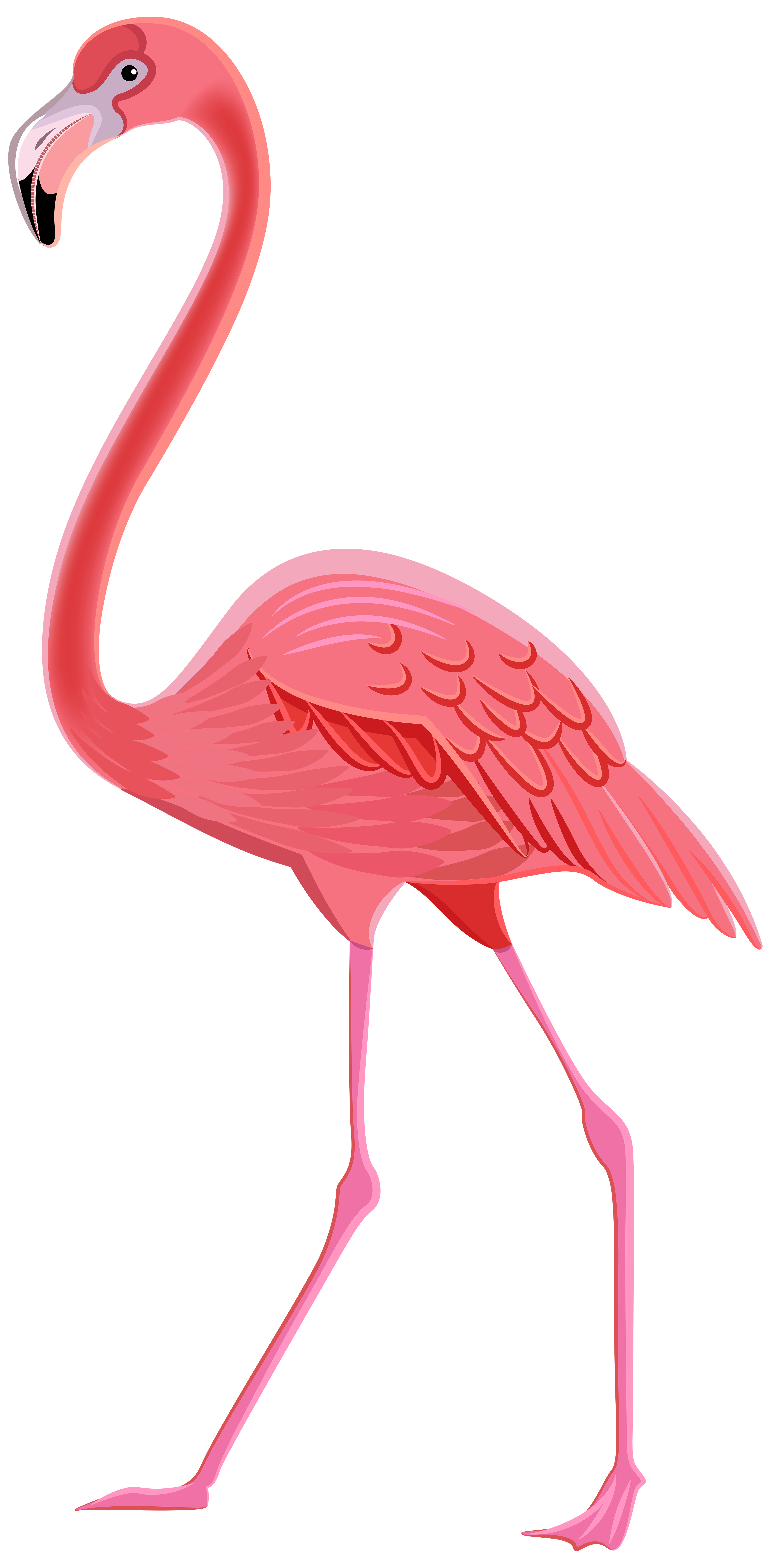 The Best Flamingo Em Png Tembelek Bog